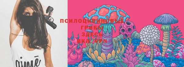 мескалин Кинешма